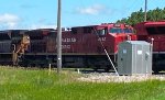 CP 8143